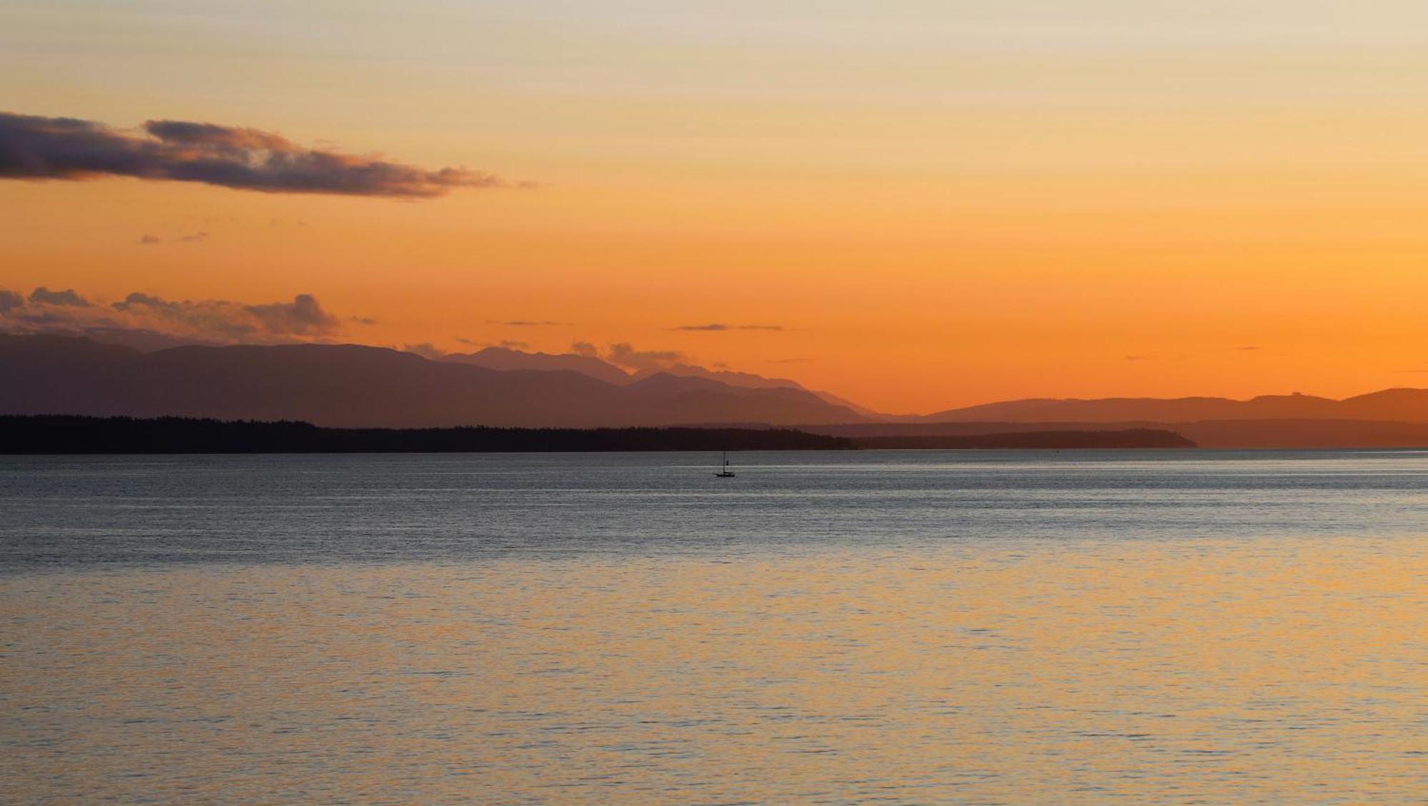 Stunning House With Views Of Puget Sound! Ideal For Family Reunions Edmonds Eksteriør bilde